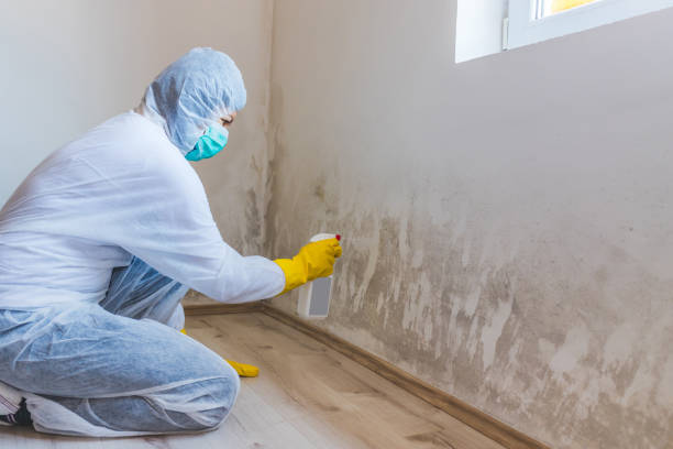 Mold Remediation specialist working in South Fork