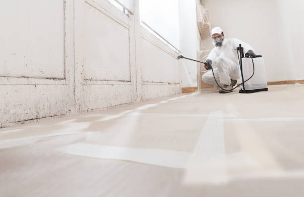 Black mold remediation team in South Fork